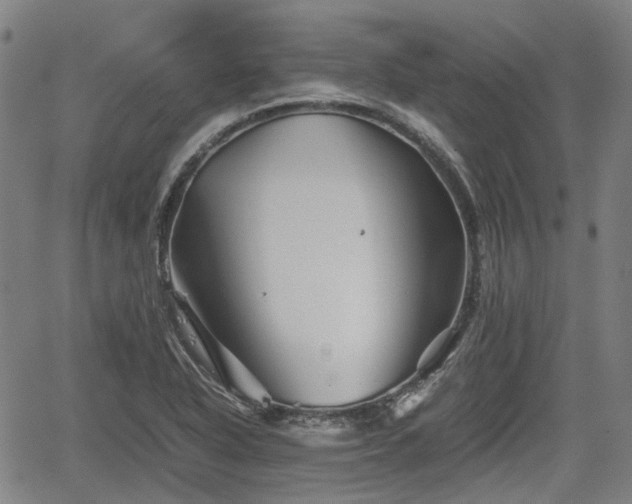 X0000062171318200512161241