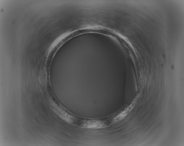 X0000062171319200512161241