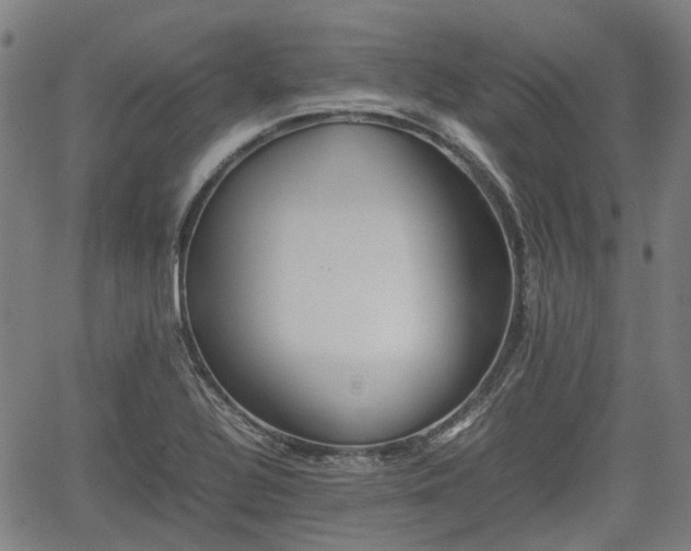 X0000062171320200512161241