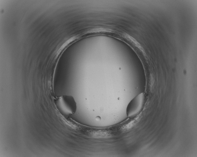 X0000062171321200512161241