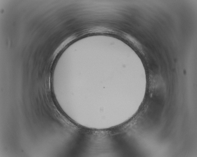 X0000062171322200512161241