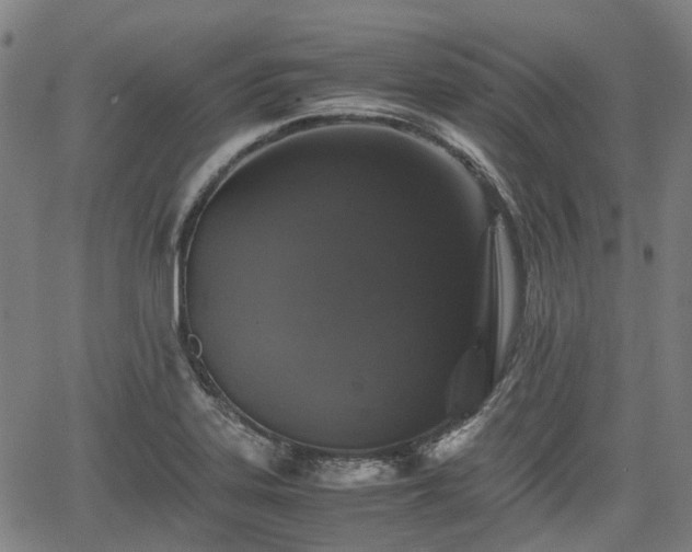 X0000062171323200512161241