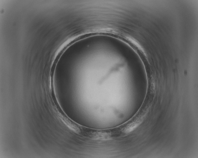 X0000062171324200512161241