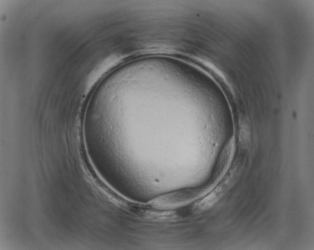 X0000062171325200512161241