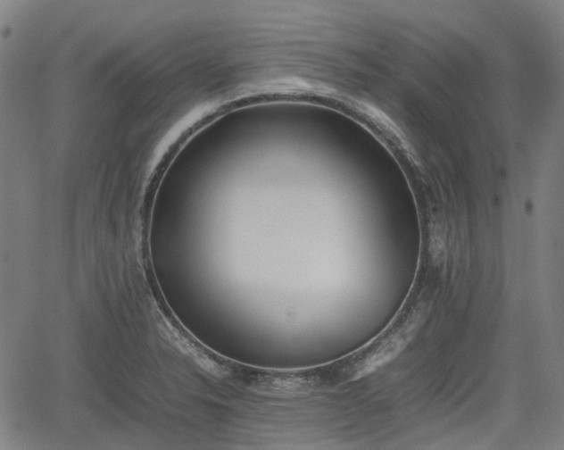 X0000062171326200512161241