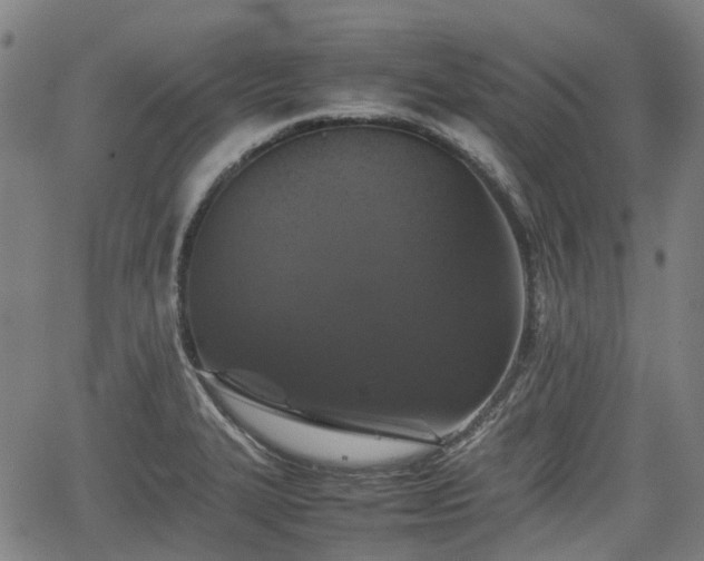 X0000062171327200512161241