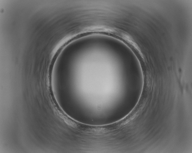 X0000062171328200512161241