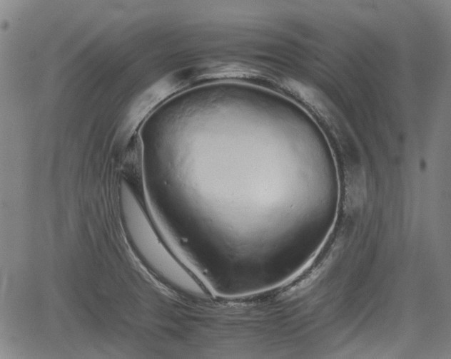 X0000062171329200512161241