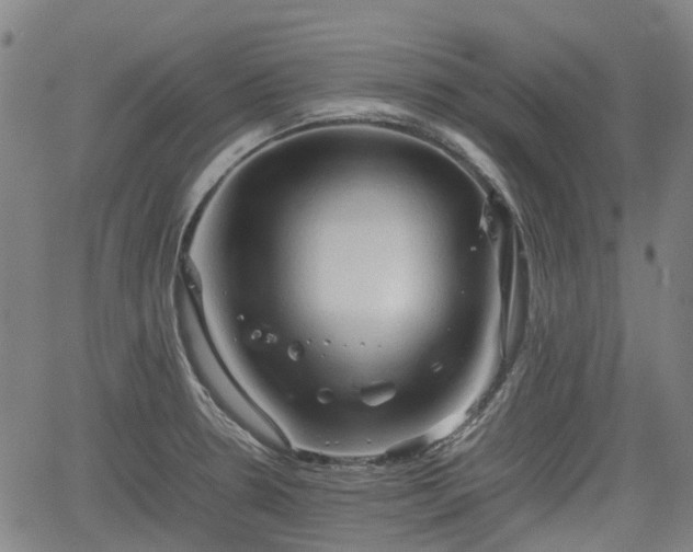 X0000062171330200512161241