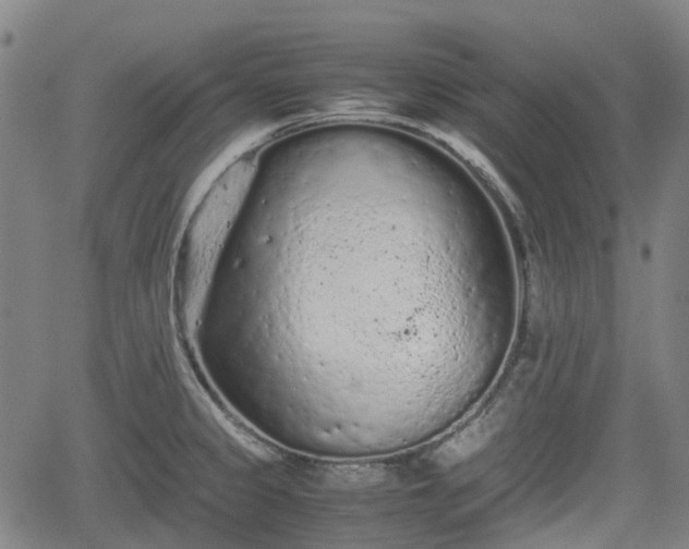 X0000062171333200512161241