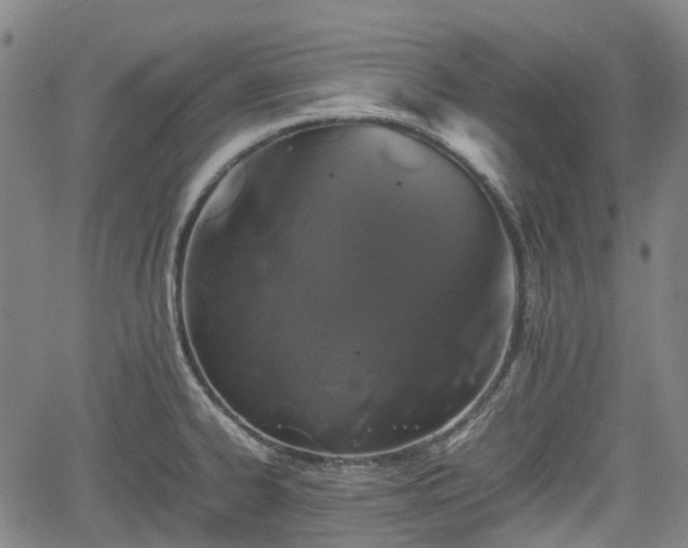 X0000062171334200512161241