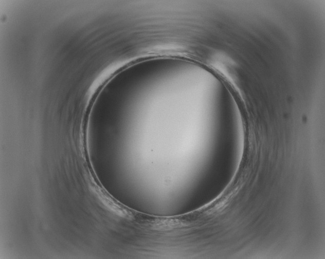 X0000062171336200512161241