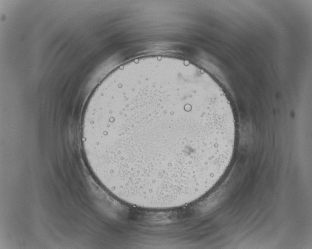 X0000062171338200512161241