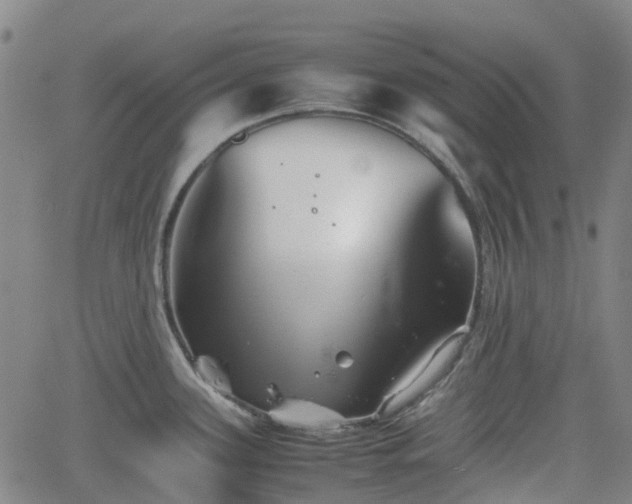 X0000062171339200512161241