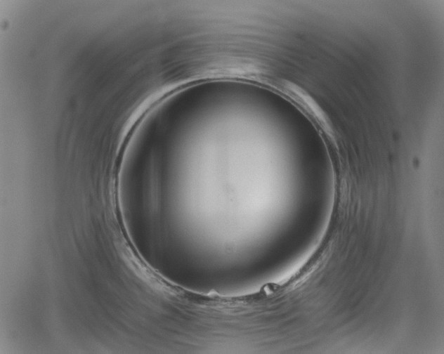 X0000062171340200512161241