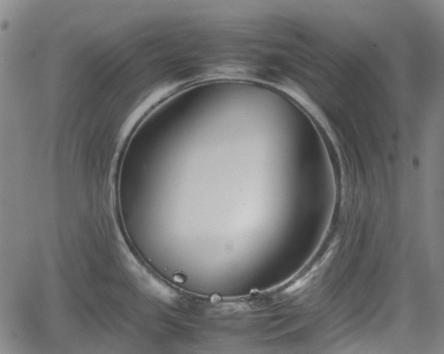 X0000062171341200512161241