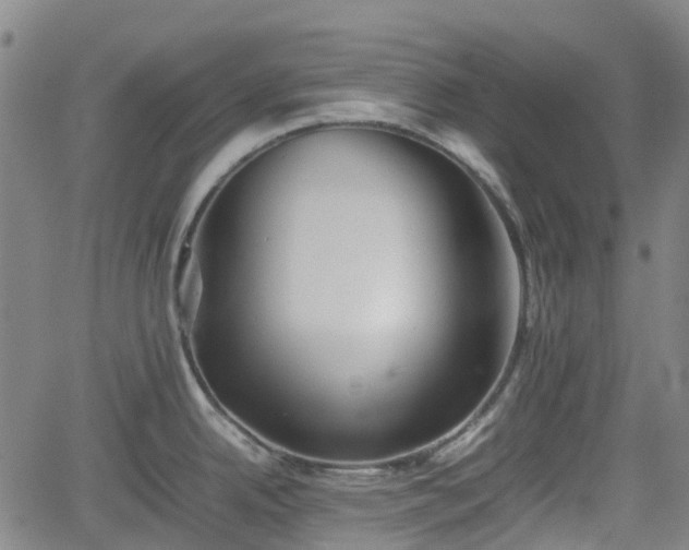 X0000062171342200512161241