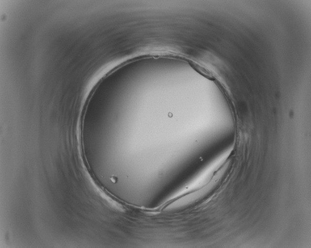 X0000062171343200512161241