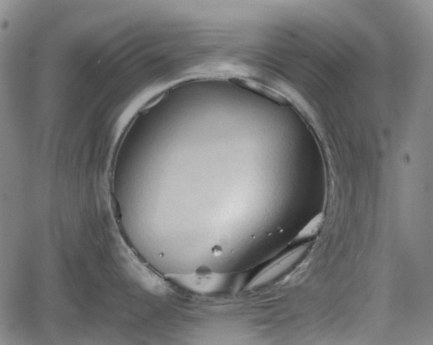 X0000062171344200512161241