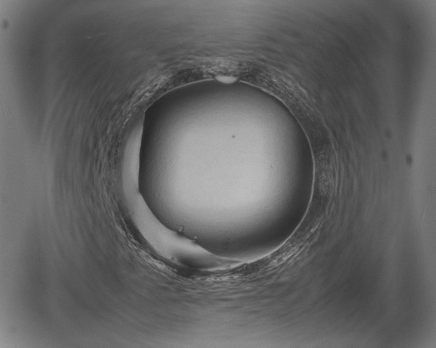 X0000062171345200512161240