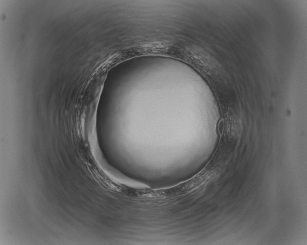 X0000062171346200512161240