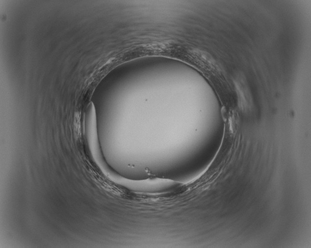 X0000062171347200512161240