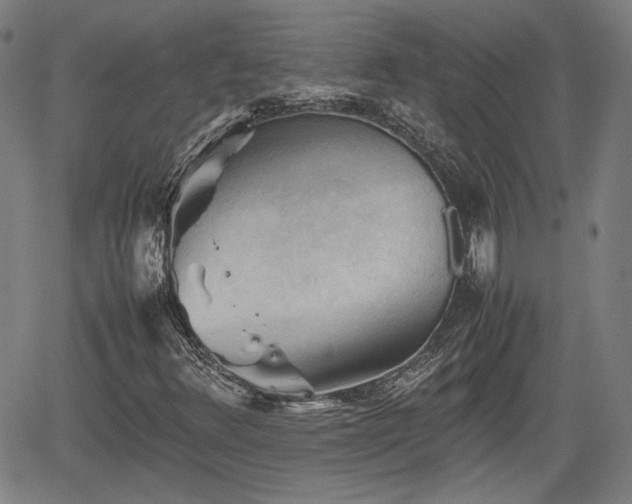 X0000062171348200512161240