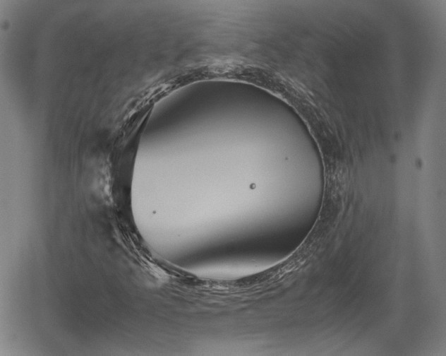 X0000062171349200512161240