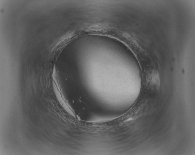 X0000062171350200512161240