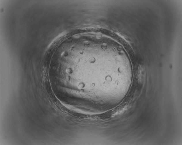 X0000062171351200512161240