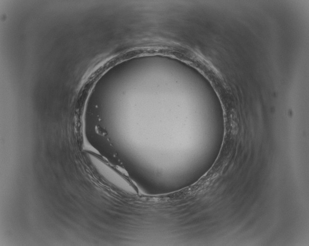 X0000062171352200512161240