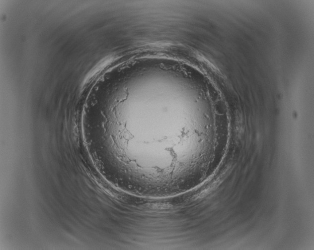 X0000062171354200512161240