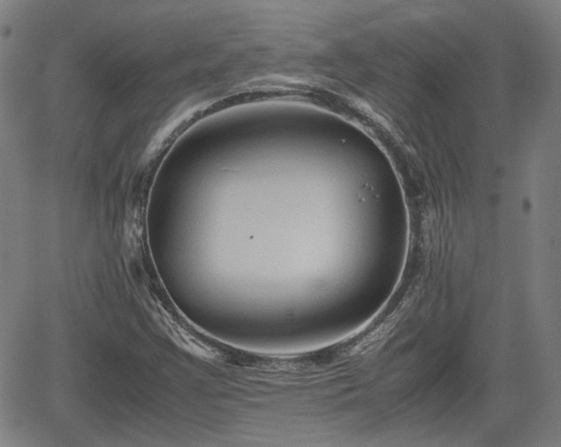 X0000062171355200512161240