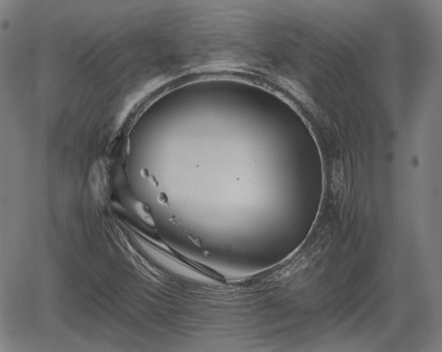 X0000062171356200512161240