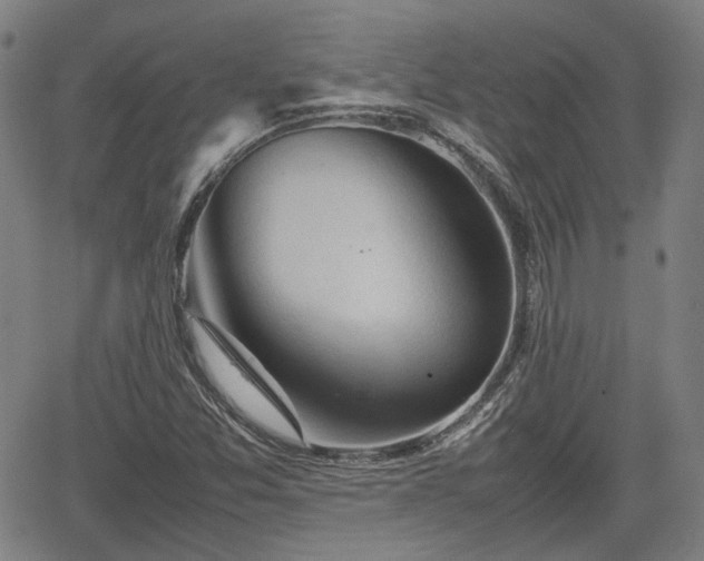 X0000062171357200512161240