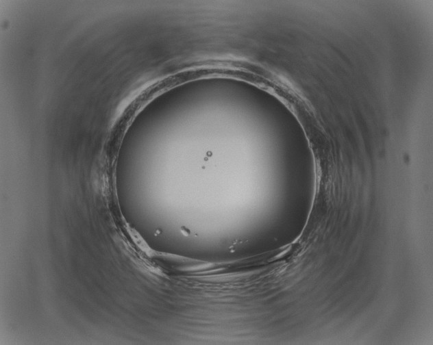 X0000062171360200512161240