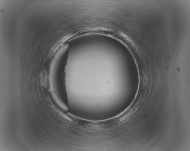 X0000062171361200512161240