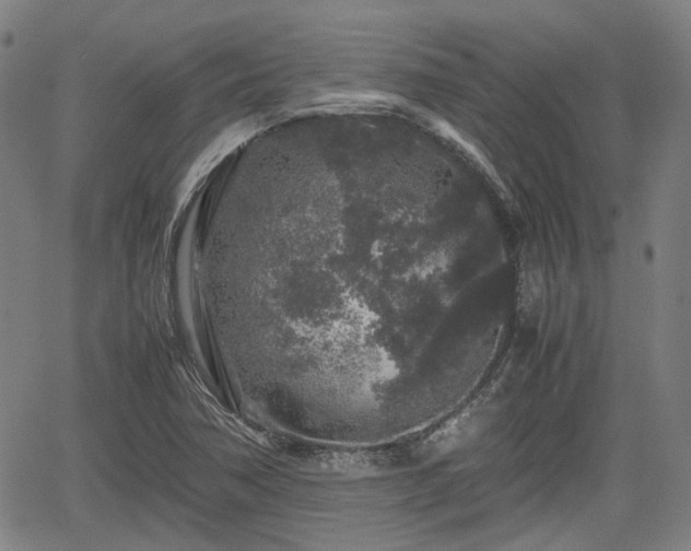 X0000062171362200512161240