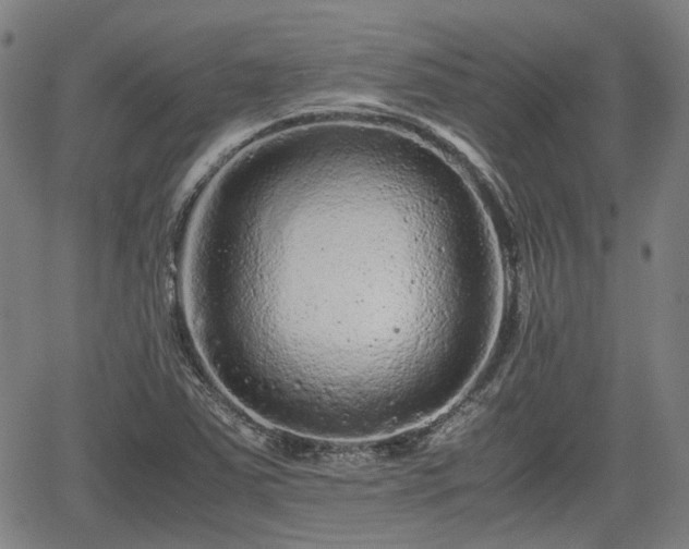 X0000062171363200512161240