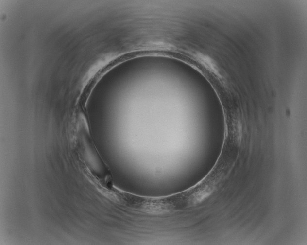 X0000062171364200512161240