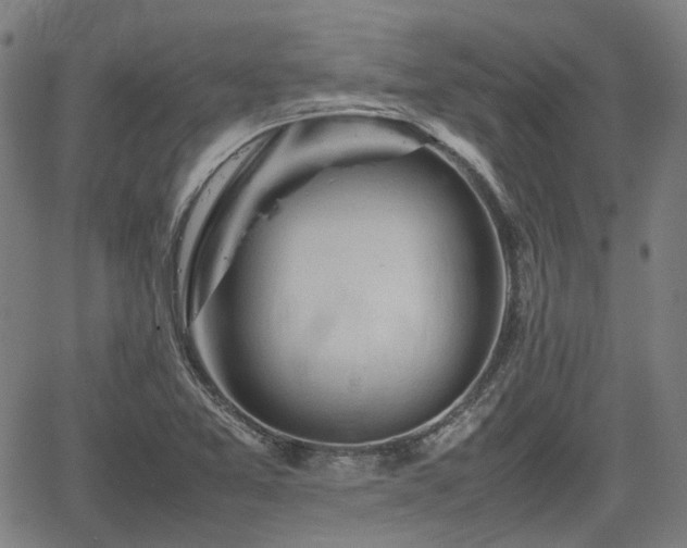 X0000062171365200512161240