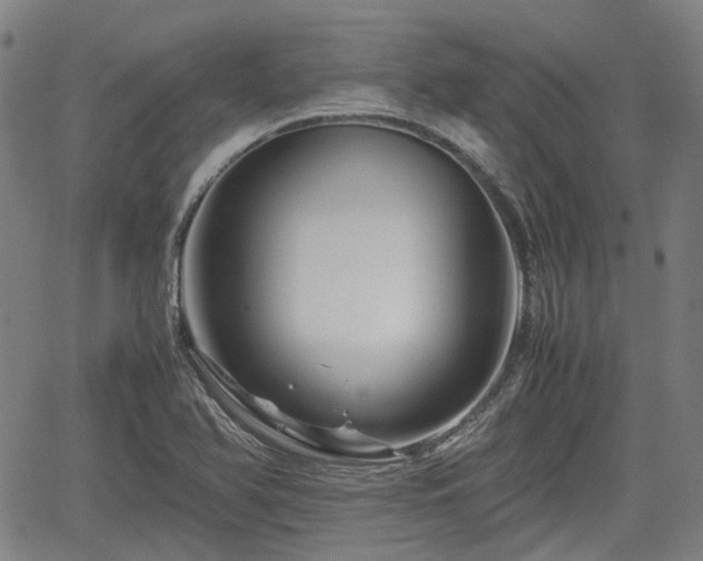 X0000062171366200512161240