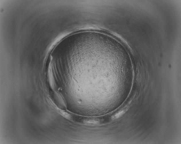 X0000062171367200512161240