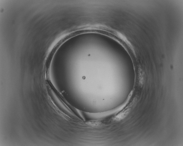 X0000062171368200512161240