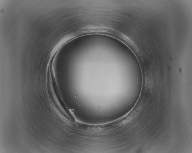 X0000062171370200512161240