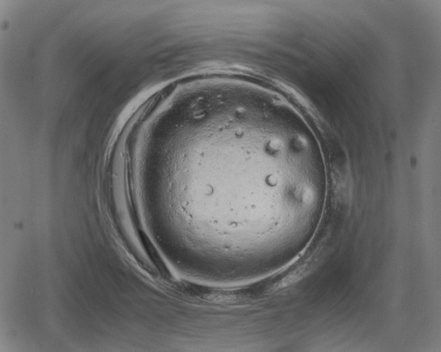 X0000062171371200512161240