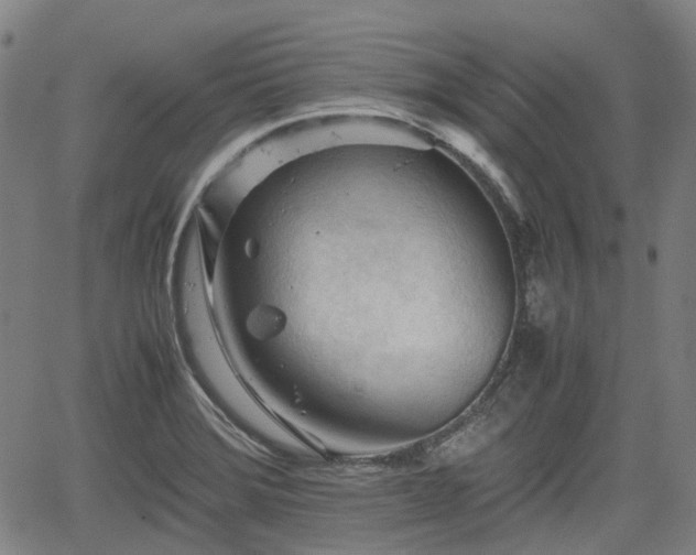 X0000062171372200512161240