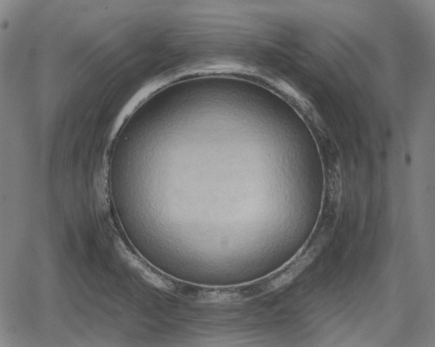 X0000062171374200512161240