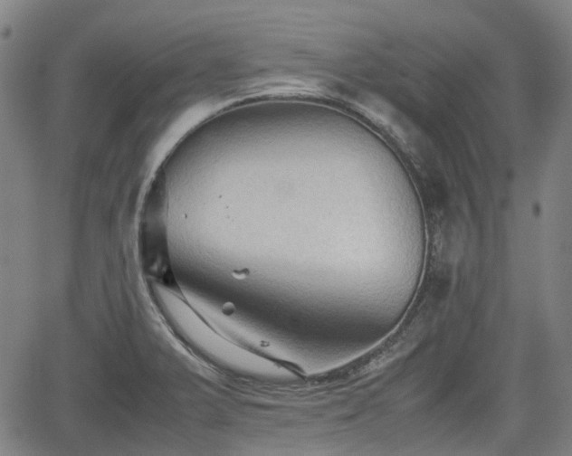 X0000062171375200512161240