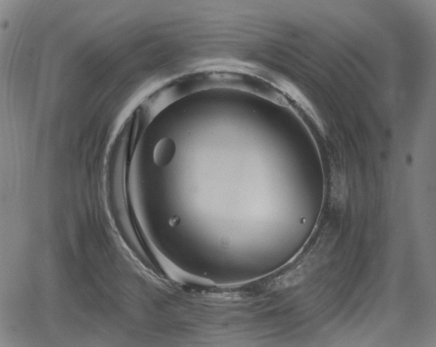 X0000062171376200512161240